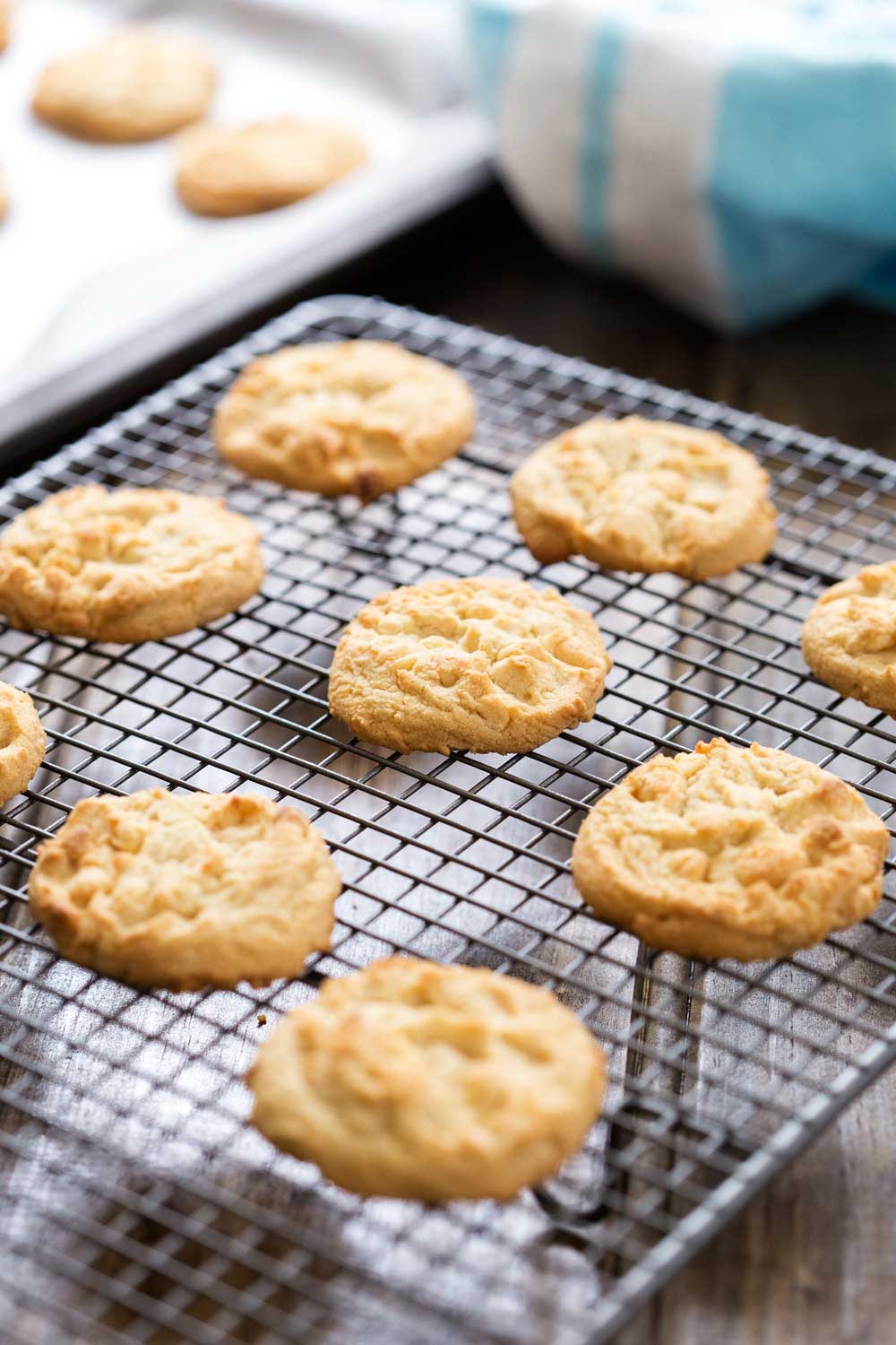 White Chocolate Chip Cookies. These nut free cookies are the perfect treat to whip up for a morning tea or for wrapping up as a hostess gift. Loaded with choc chips these are simple to make and delicious to eat. | Sprinkles and Sprouts