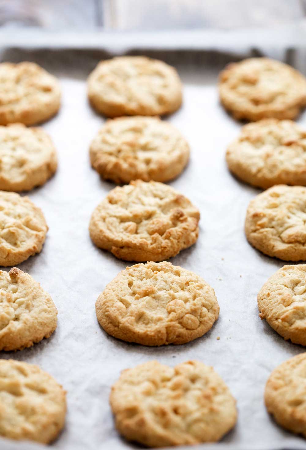White Chocolate Chip Cookies. These nut free cookies are the perfect treat to whip up for a morning tea or for wrapping up as a hostess gift. Loaded with choc chips these are simple to make and delicious to eat. | Sprinkles and Sprouts