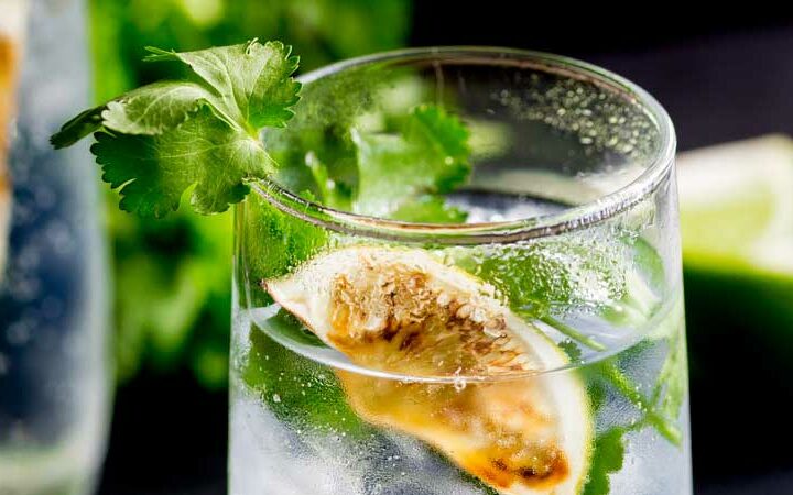 This Charred Lime Gin & Tonic with Fresh Coriander takes the fabulous pairing of gin and lime, boosts it up and then adds to the botanicals with fresh coriander. It is a delicious and unusual Gin & Tonic, but one definitely worth giving a try.  From Sprinkles and Sprouts