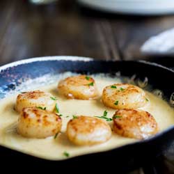 Square picture of 6 seared scallops in an old cast iron fry pan, with a saffron cream sauce poured around them.