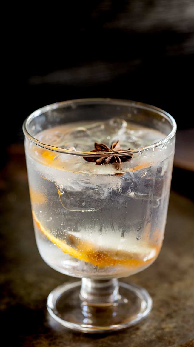 Single stemmed glass frosted over with orange gin and tonic in it and a star anise floating in the top. Dark background and table.