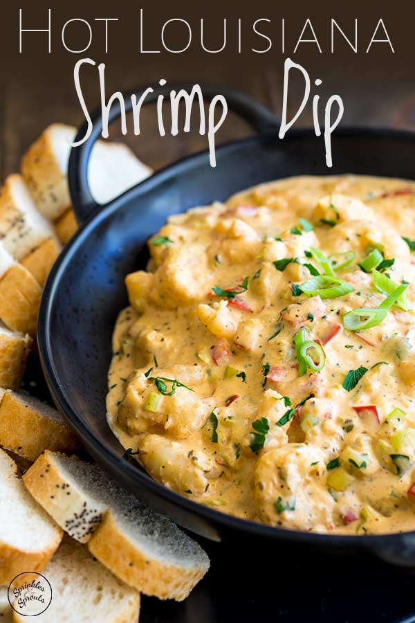 overhead showing a bowl of shrimp dip with green onion garnish