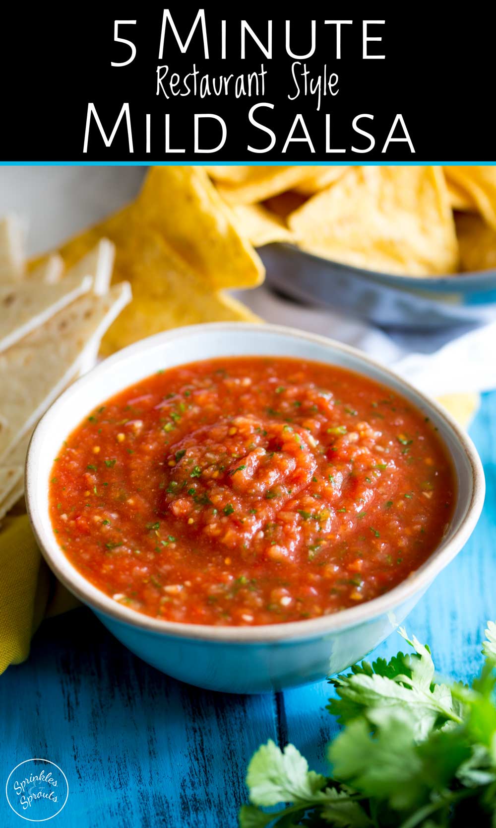 home-made salsa in a bowl on a blue table with text at the top