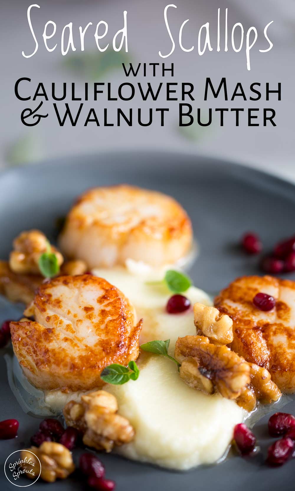 close up on the seared scallop sat on cauliflower puree with text at the top