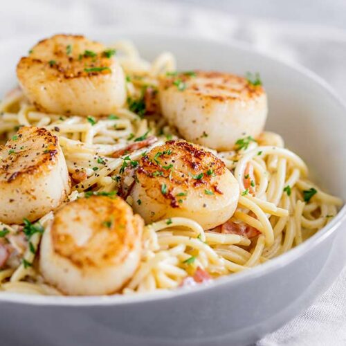 a shallow grey bowl of spaghetti with seared scallops on top