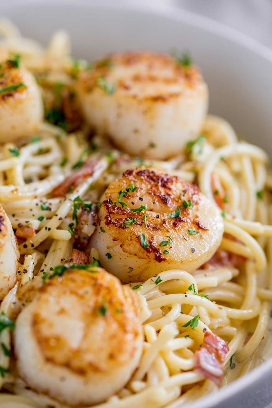 close up on a seared scallop on a bed of pasta