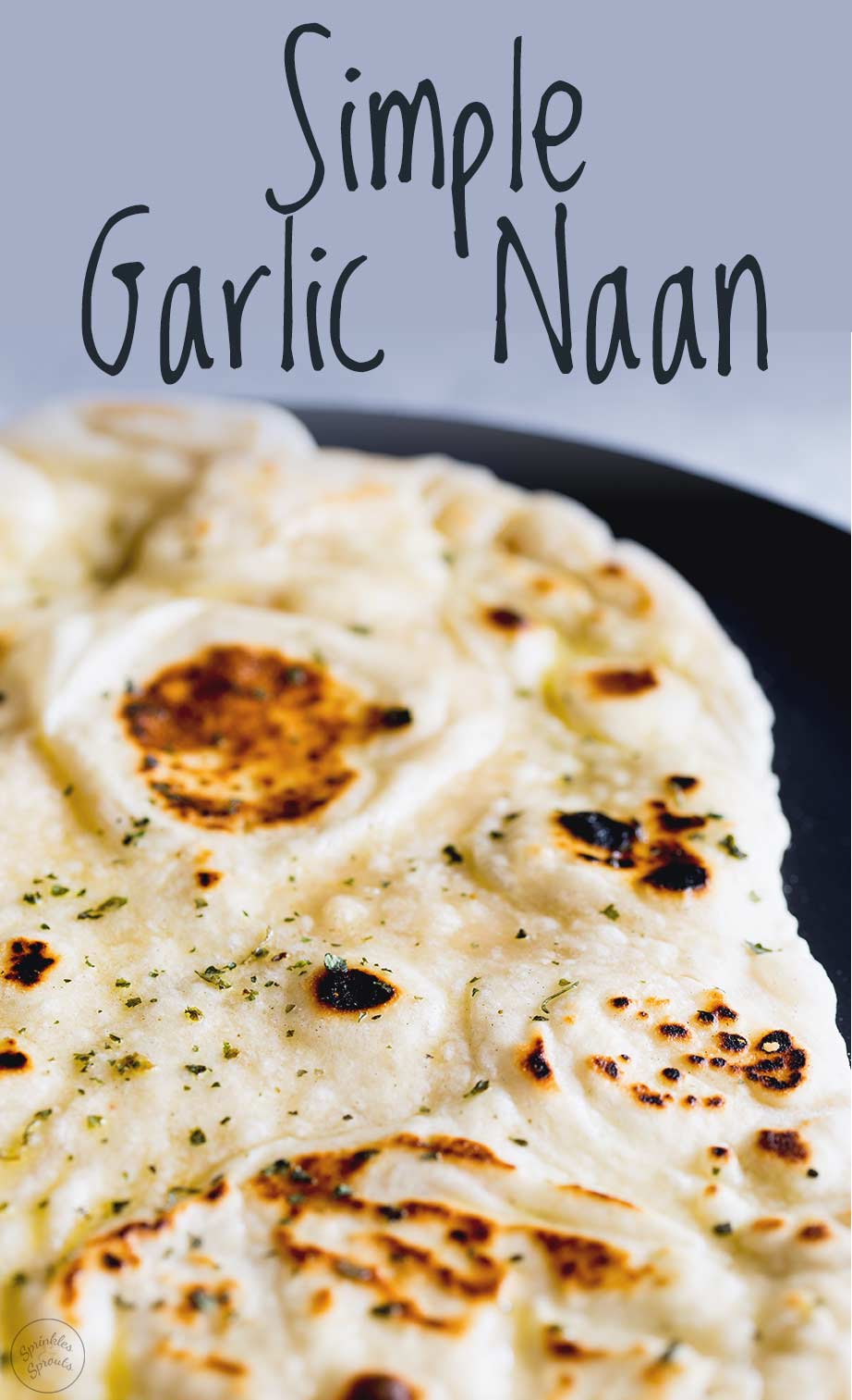 shot of the blackened spots on the garlic naan