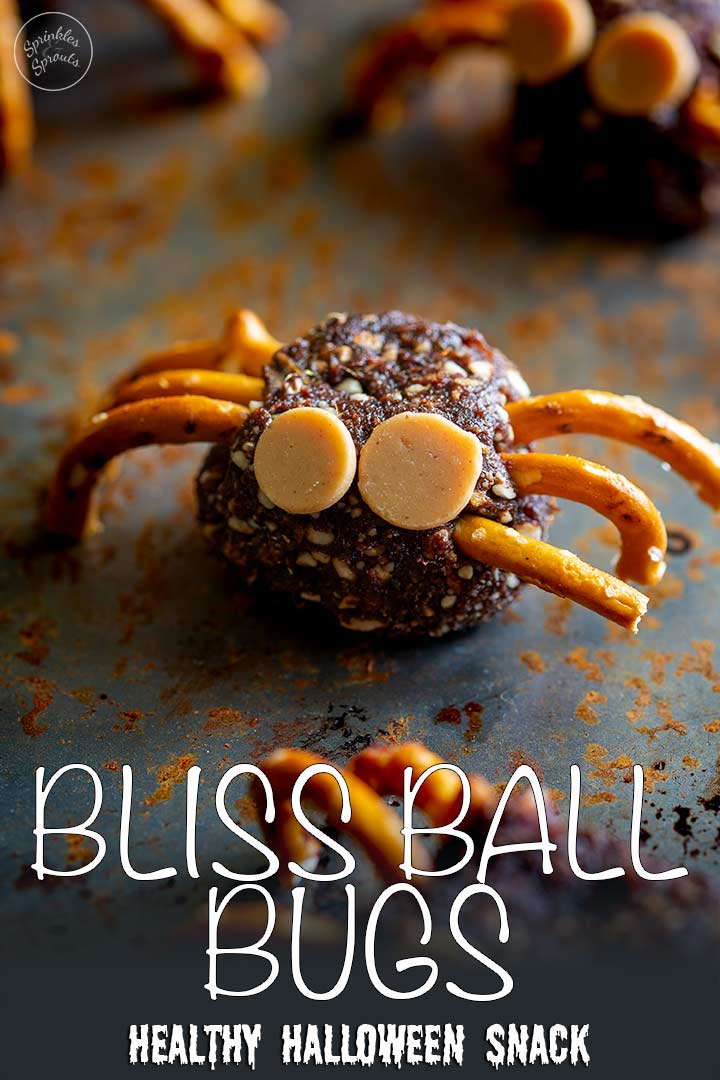 close up on a bliss ball turned into a bug with text at the bottom