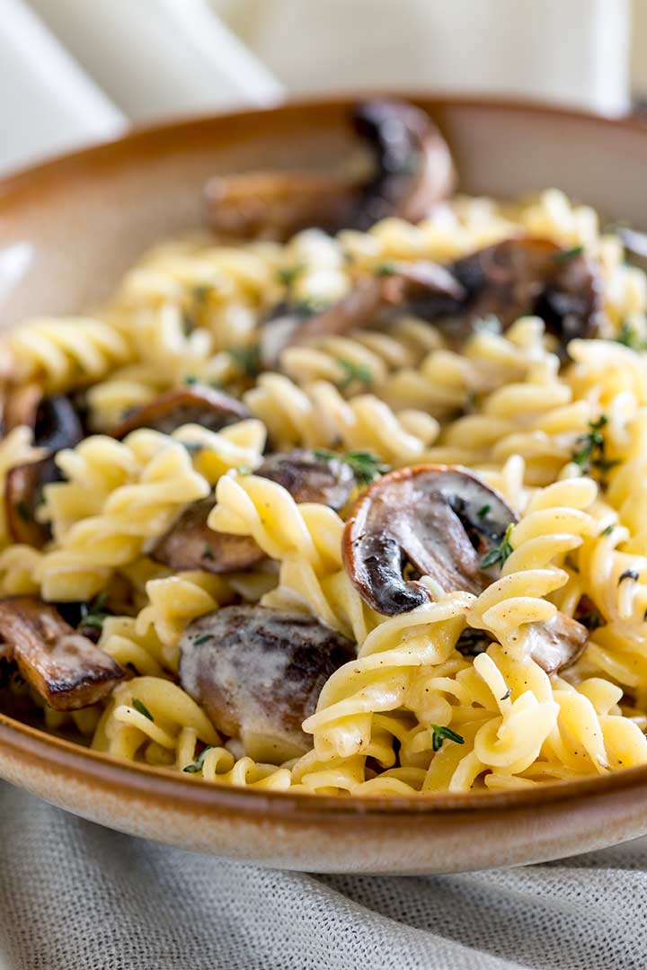 close up on a creamy mushroom in a bowl of pasta