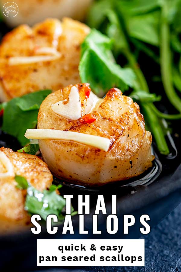 close up on a seared Thai scallop with text at the bottom