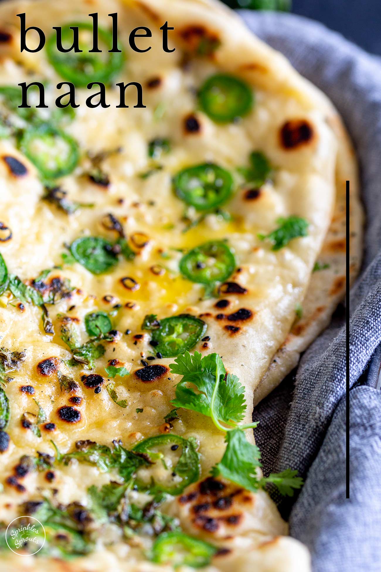 Pinterest Image - bullet naan with text overlay