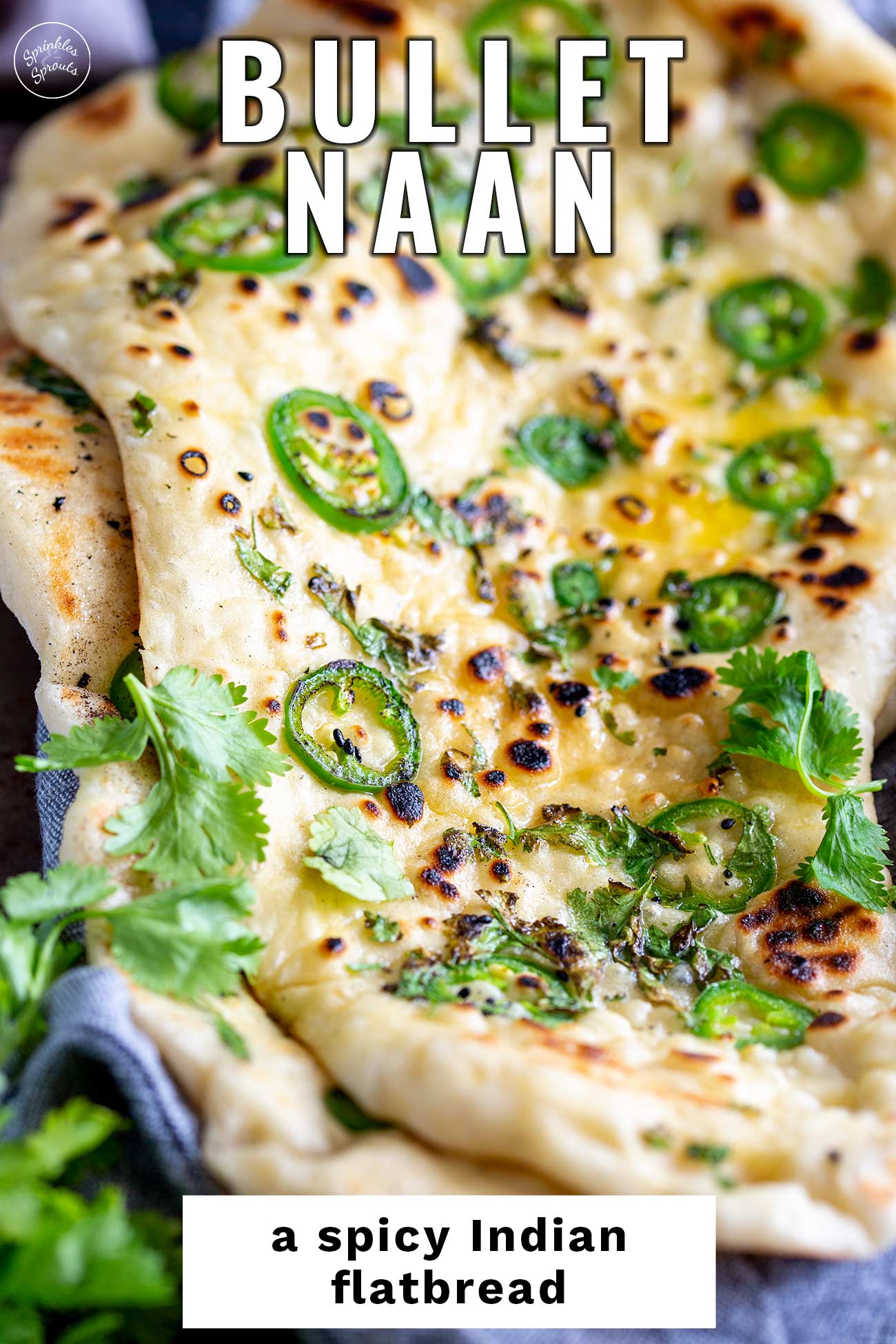 Pinterest Image - bullet naan with text overlay