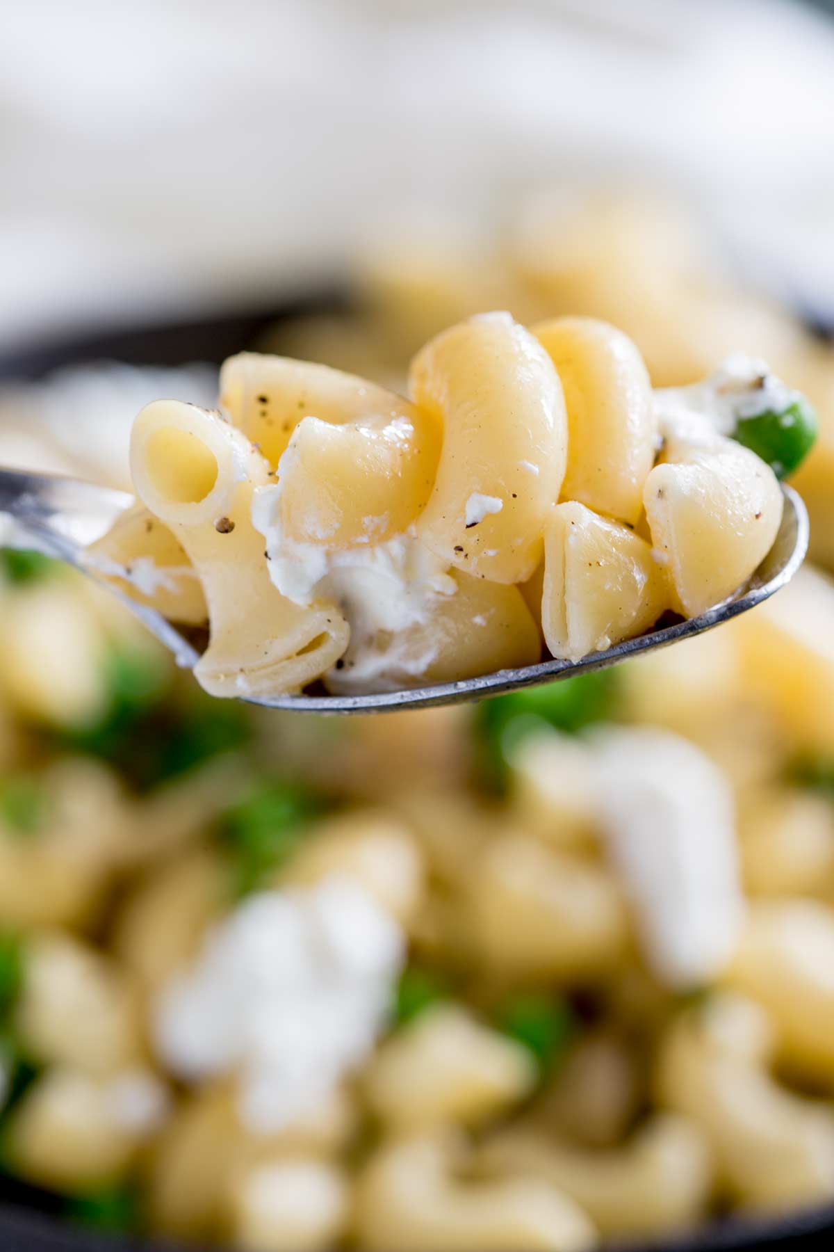 a poon lifting up goat cheese pasta