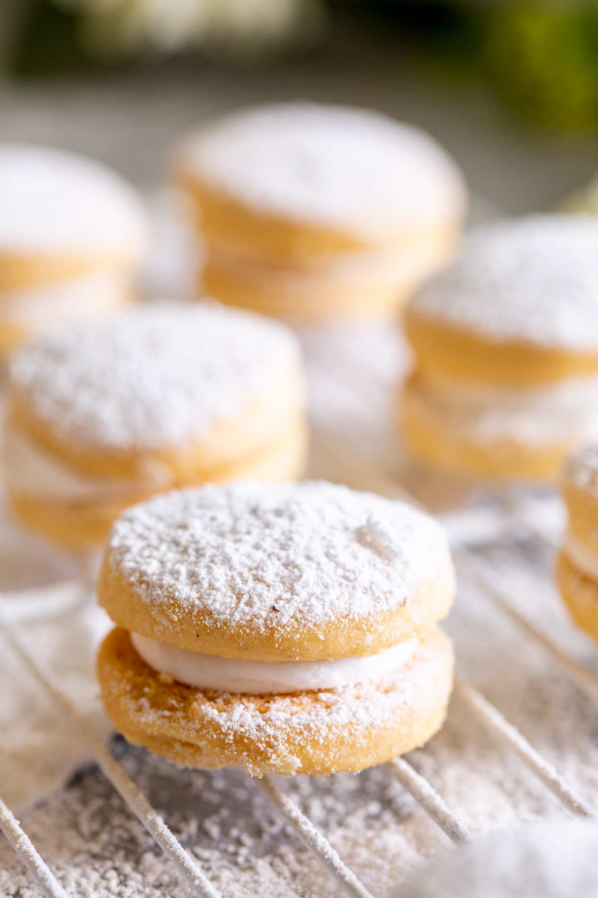 close up on a powdered sugar covered sandwich cookie
