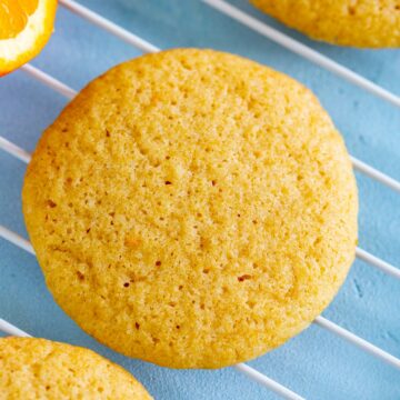 close up on a single orange cookie