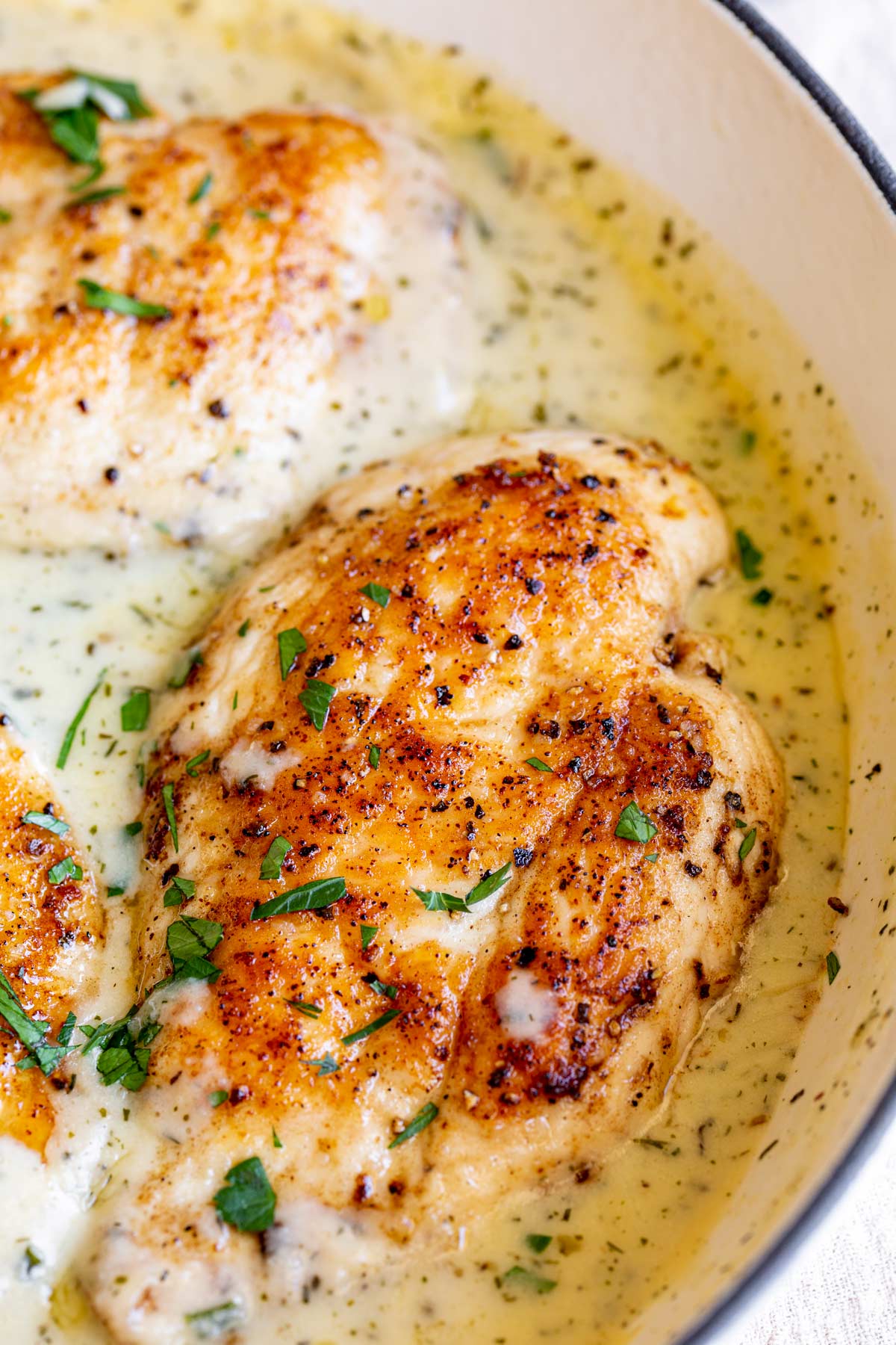 close up on a golden chicken breast in a creamy sauce