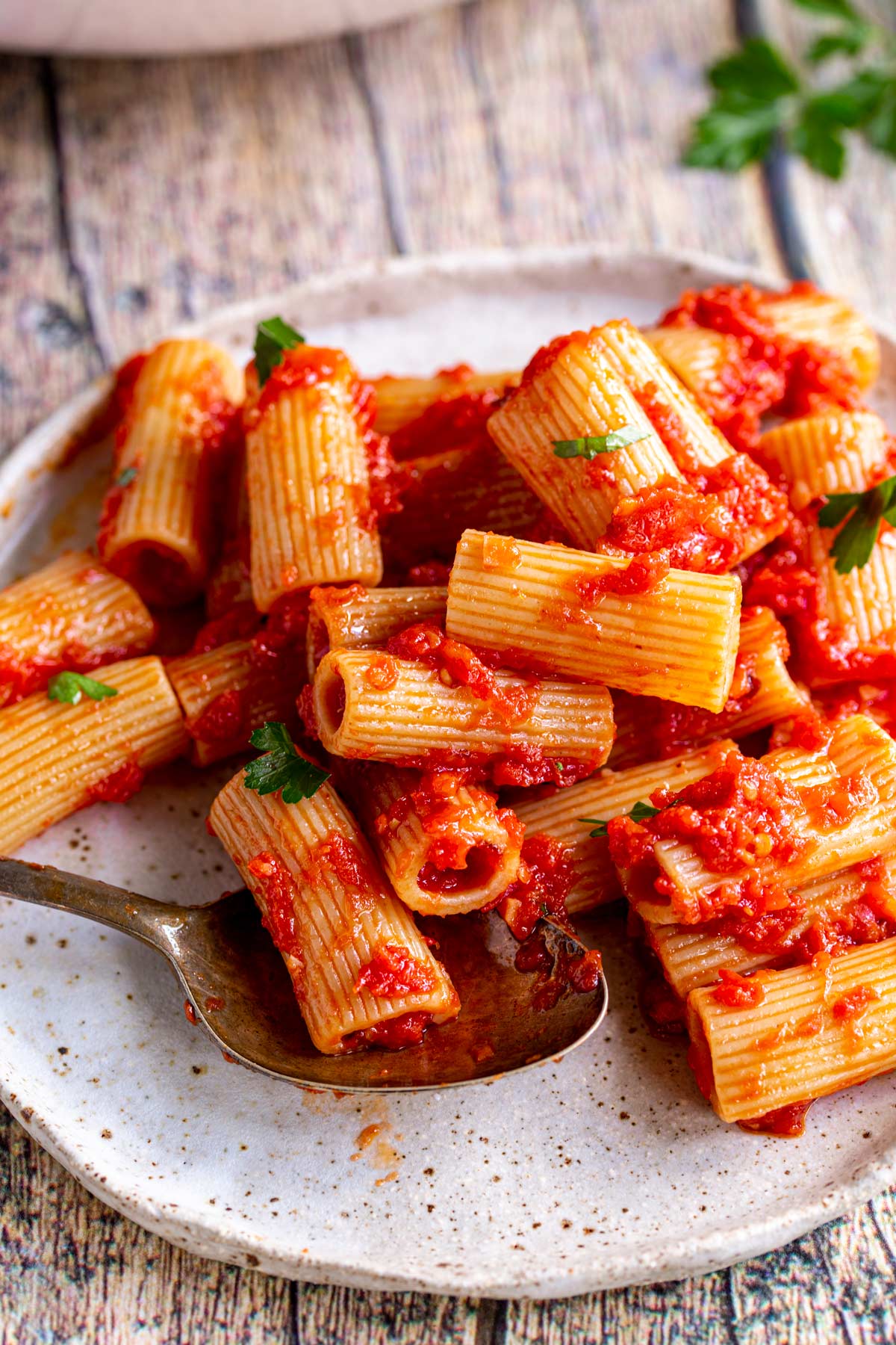 Rigatoni Arrabbiata on a rustic plate with a spoon on the plate