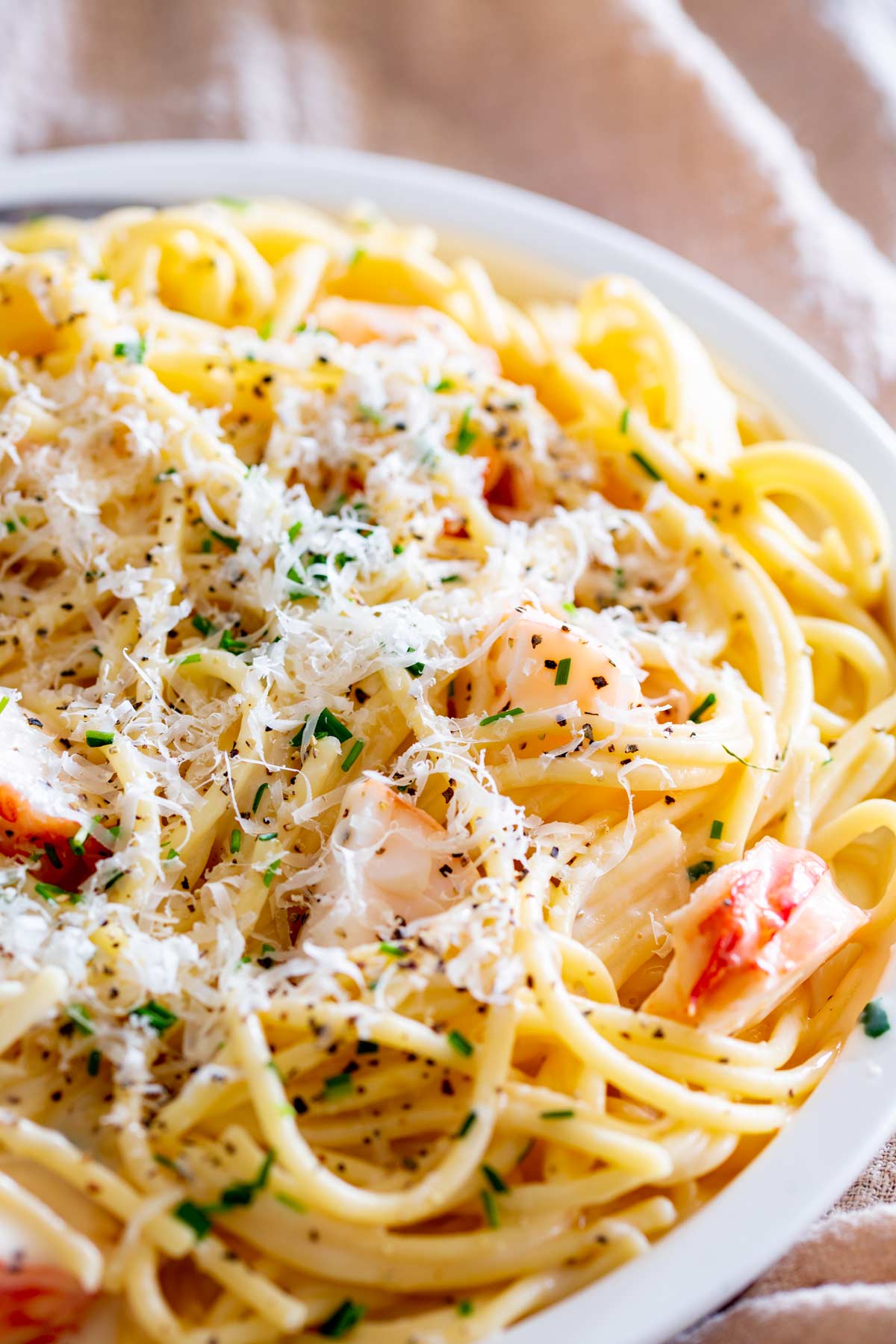 a pile of creamy lobster pasta on a white large rimmed plate