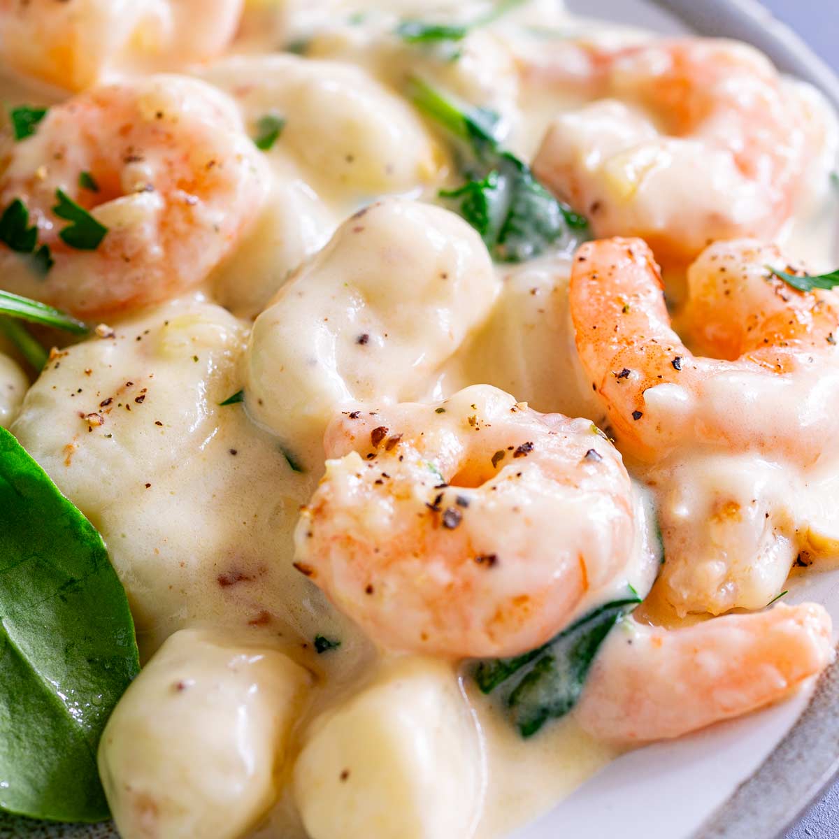 close up on shrimp in a creamy sauce with gnocchi and spinach