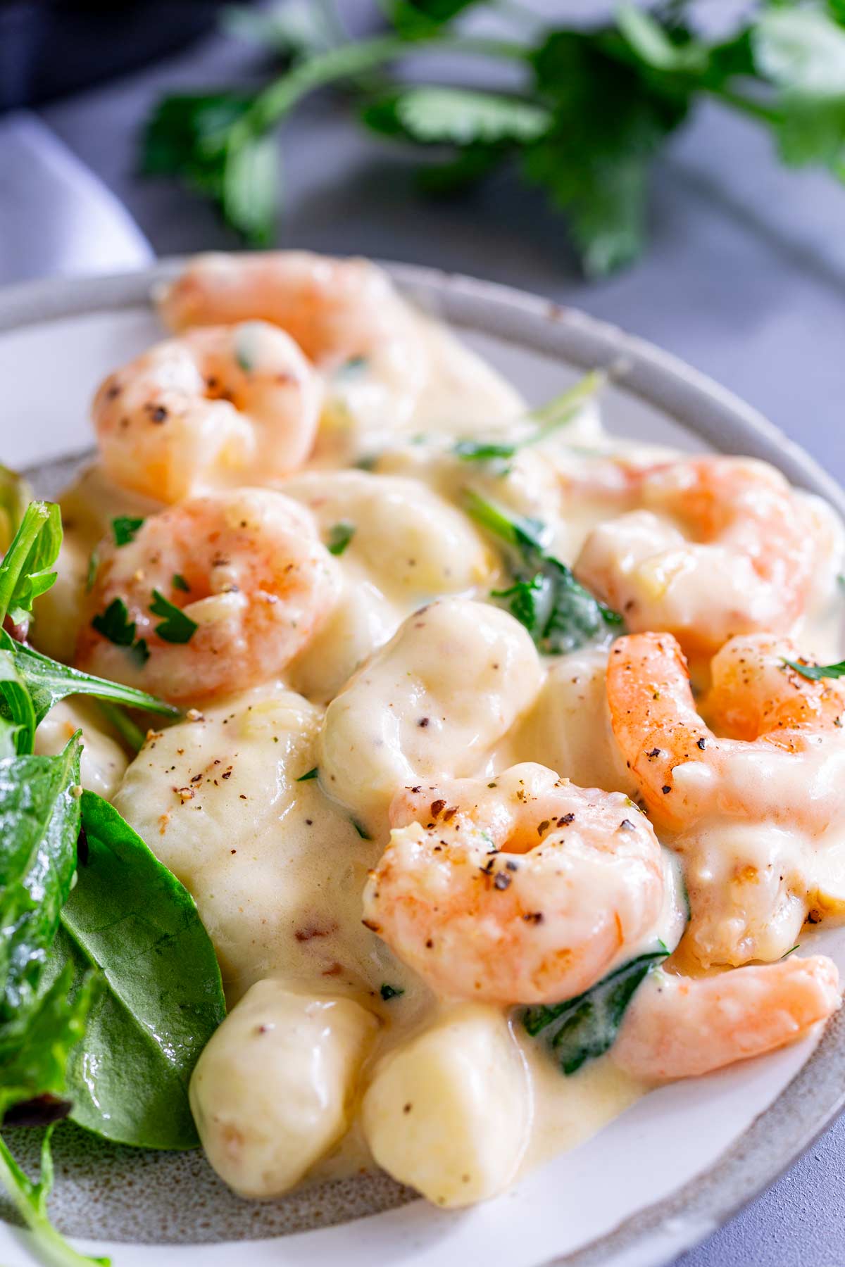 overhead of gnocchi and shrimp in a white sauce on a grey plate