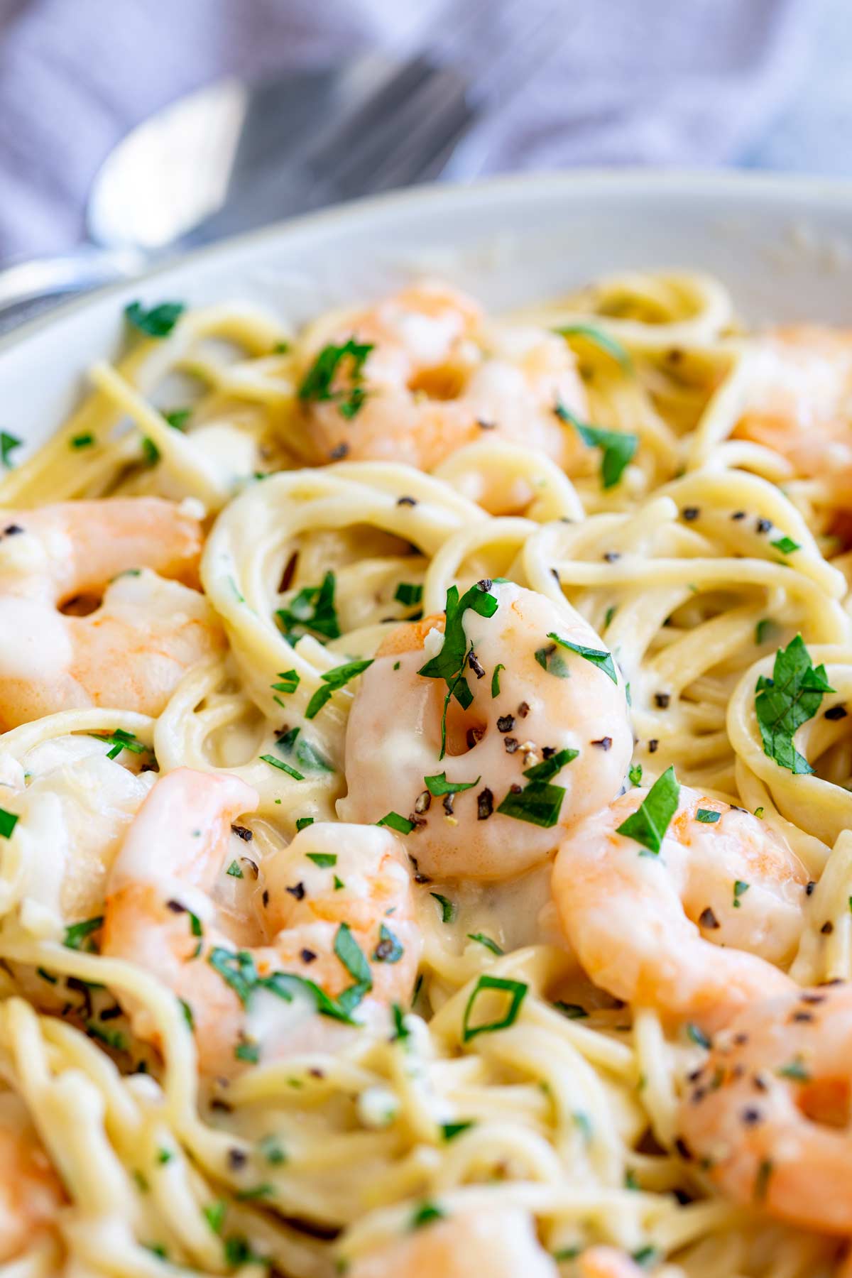 close up on a cooked shrimp in a creamy sauce mixed with pasta