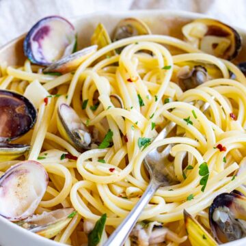 close up on pasta with clams in a cream bowl