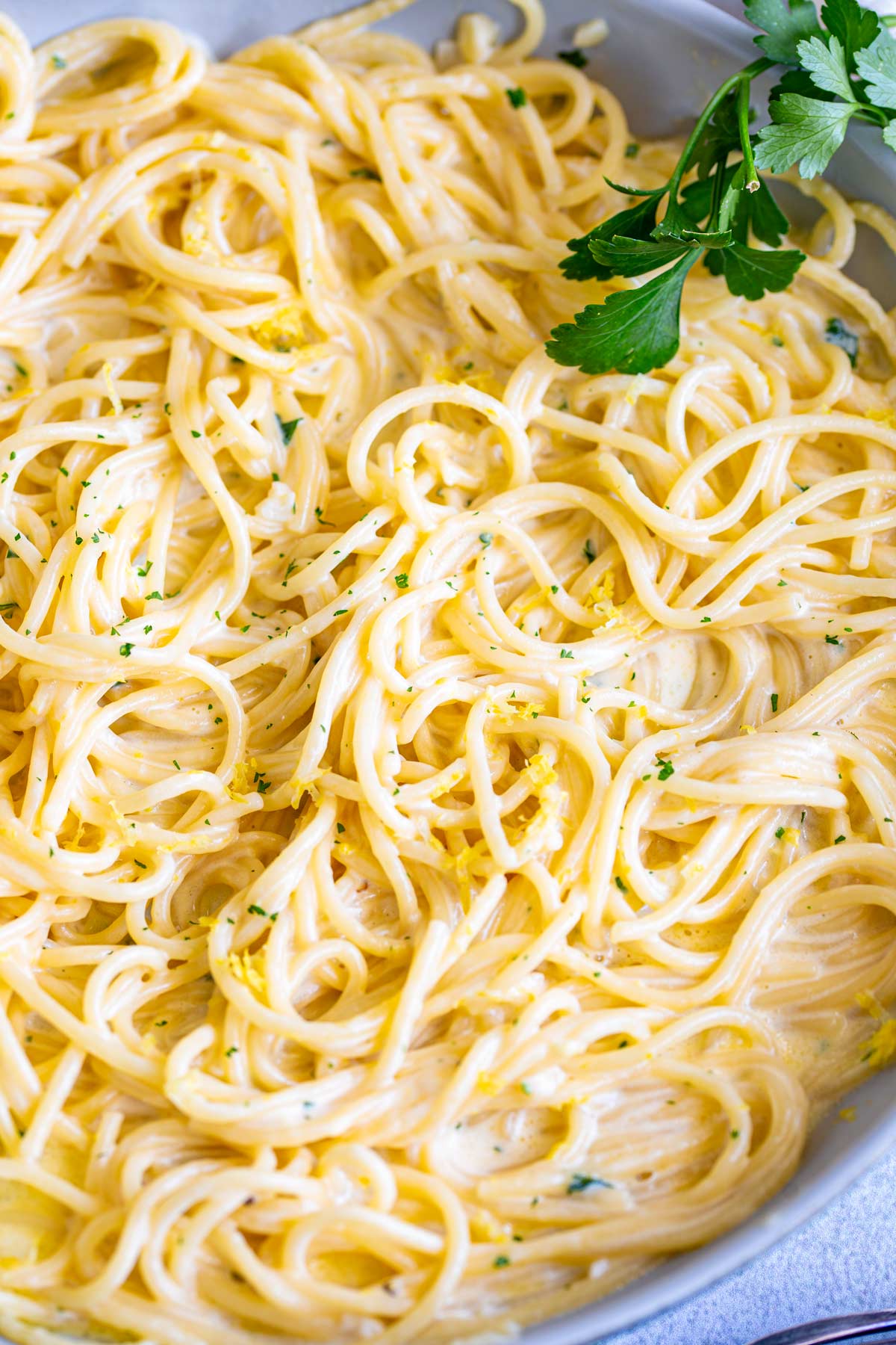 Close up of spaghetti in a creamy sauce with parsley and lemon zest garnish