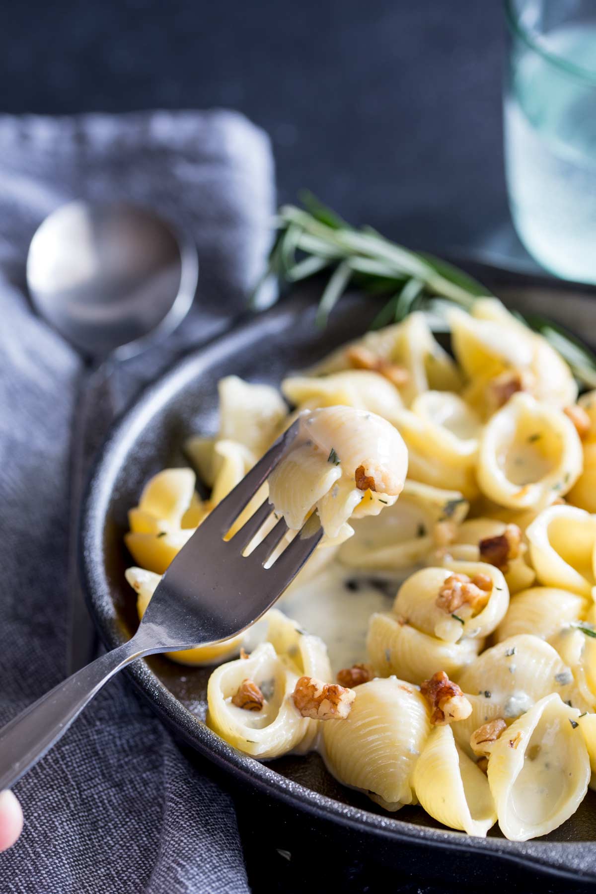 a silver fork spearing into pasta shells costed in cheese sauce