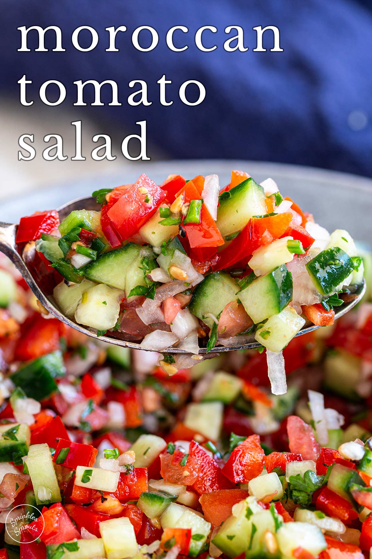 pin image: Moroccan tomato salad on a spoon with text overlaid