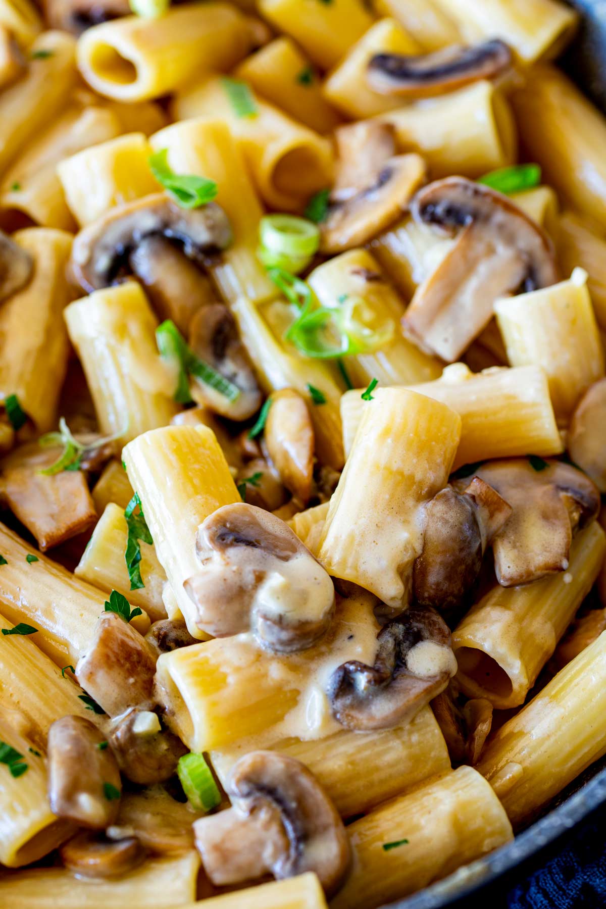 Close-up view of rigatoni pasta coated in a creamy miso sauce, with sautéed mushrooms and chopped green onions