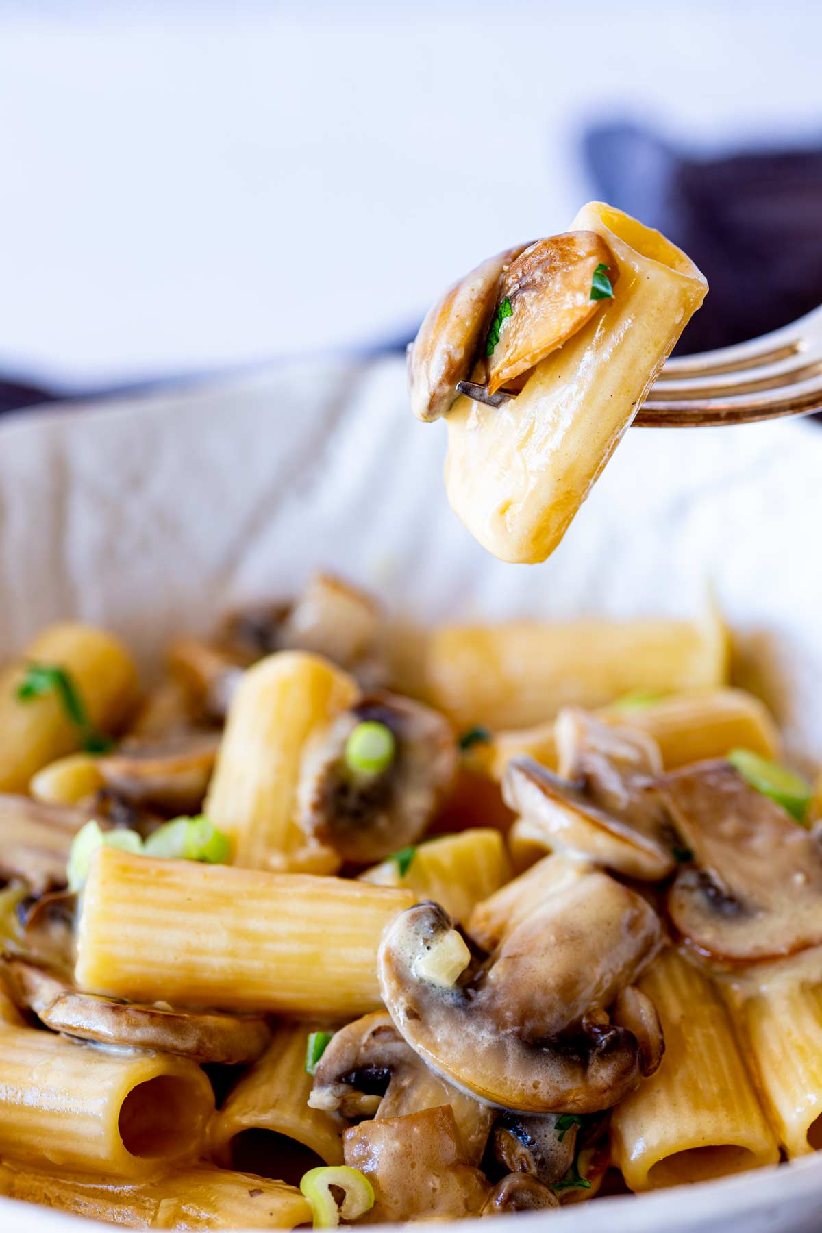 a fork stabbing a piece of rigatoni and a mushroom from a bowl of creamy pasta