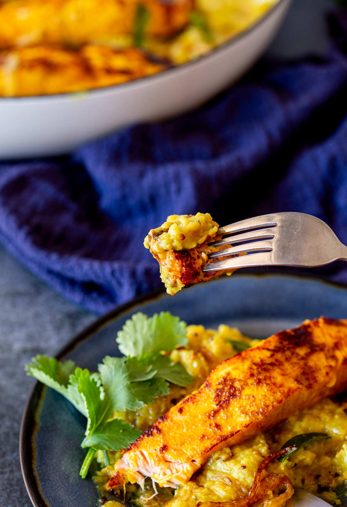 A fork holding a bite of creamy lentil daal and seared salmon, with the plate and serving dish visible in the background, placed on a navy blue cloth