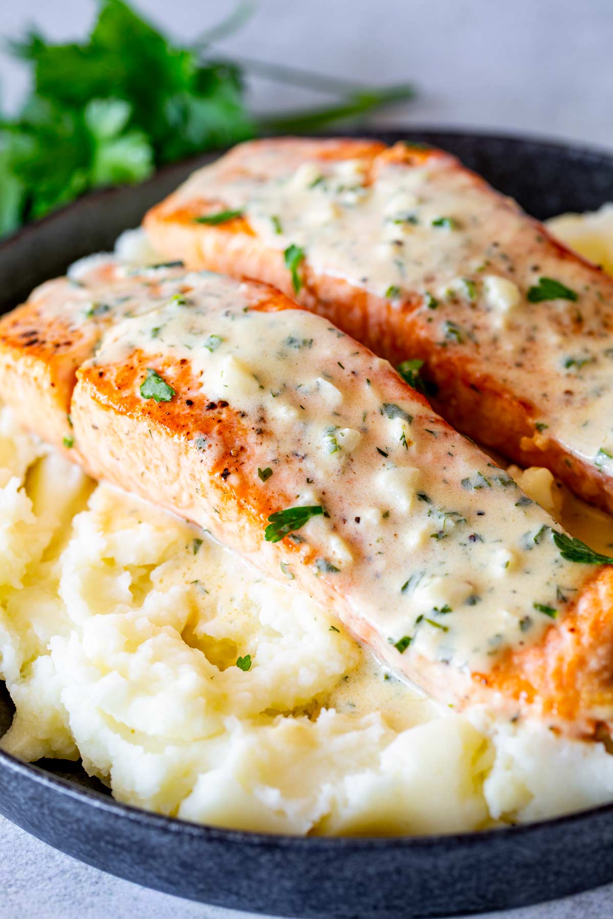 A serving dish with two salmon fillets coated in a creamy sauce, resting on mashed potatoes. Fresh parsley leaves can be seen in the background