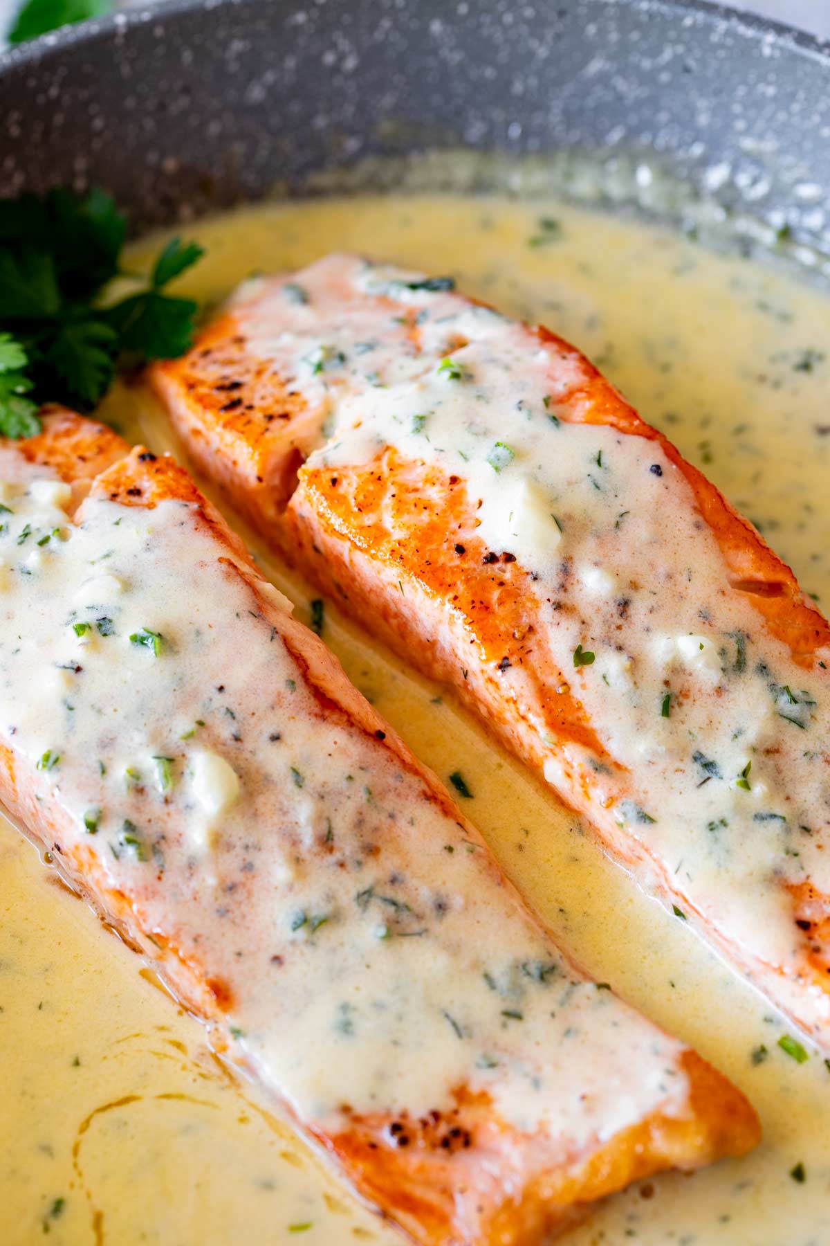 Salmon fillets in a skillet with a thick, creamy herb sauce. The fillets are cooked to a golden brown, and parsley is used as a garnish