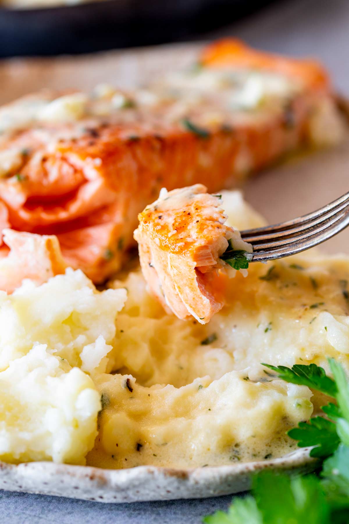 Close-up of a fork lifting a piece of salmon covered in a creamy herb sauce, with mashed potatoes in the background