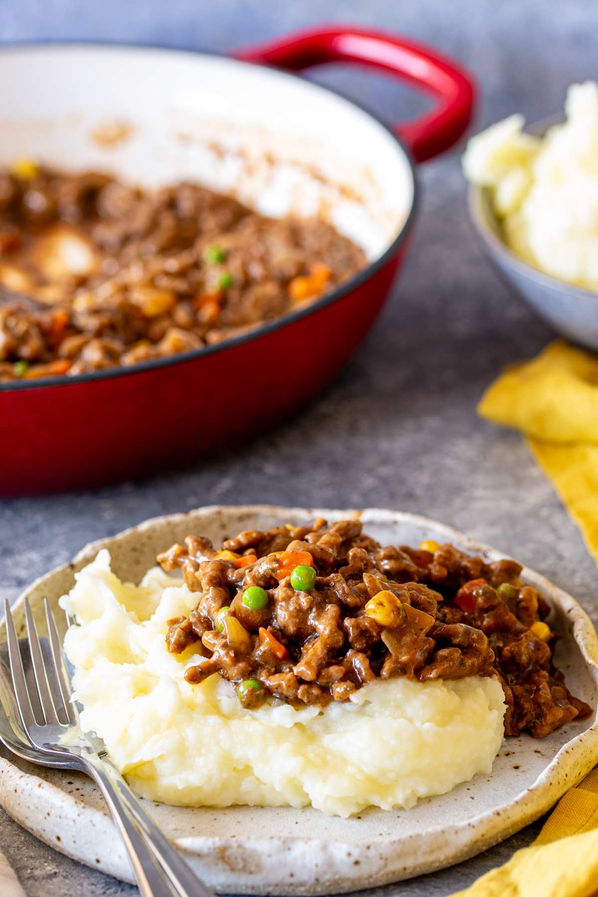 A rustic plate with a serving of mince over mashed potatoes, with the pot of mince and more mash in the background.