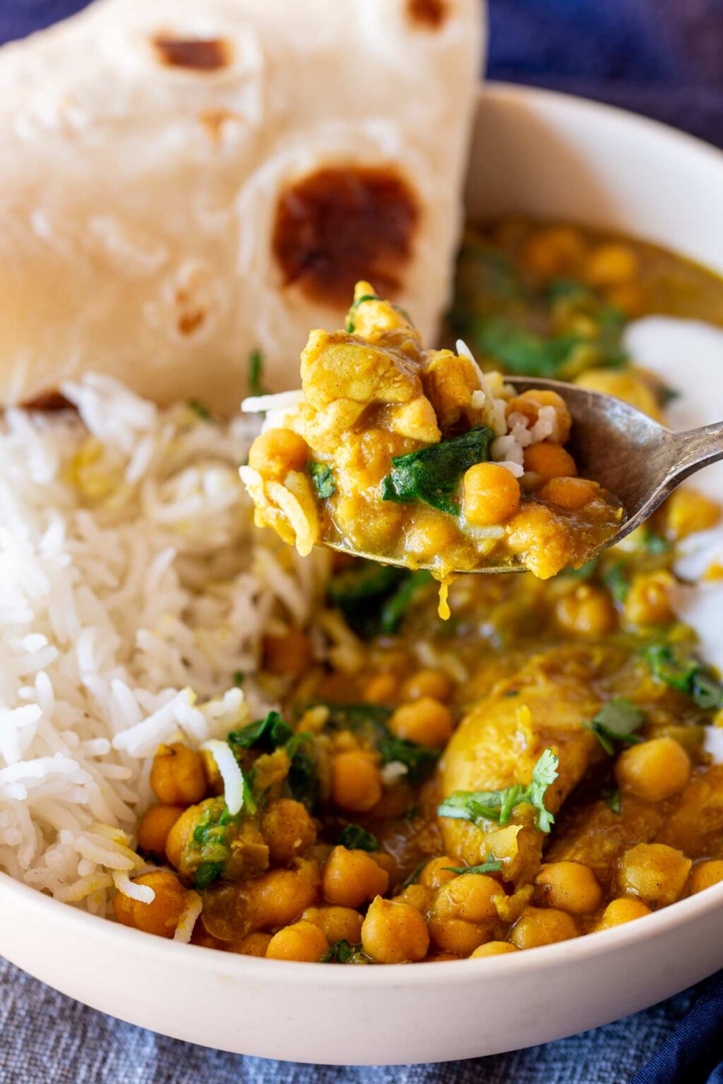 Chicken and Chickpea Curry - Sprinkles and Sprouts