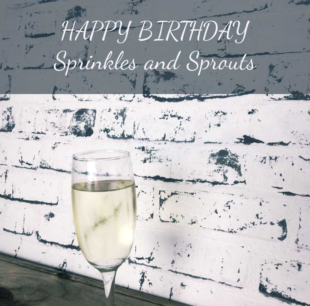 Happy Birthday Sprinkles and Sprouts. What I have learn in my first year of blogging